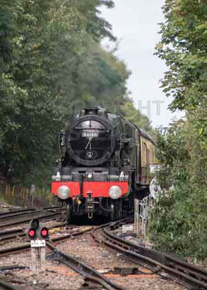 Purchase photo of 46100 ROYAL SCOT at Virginia Water